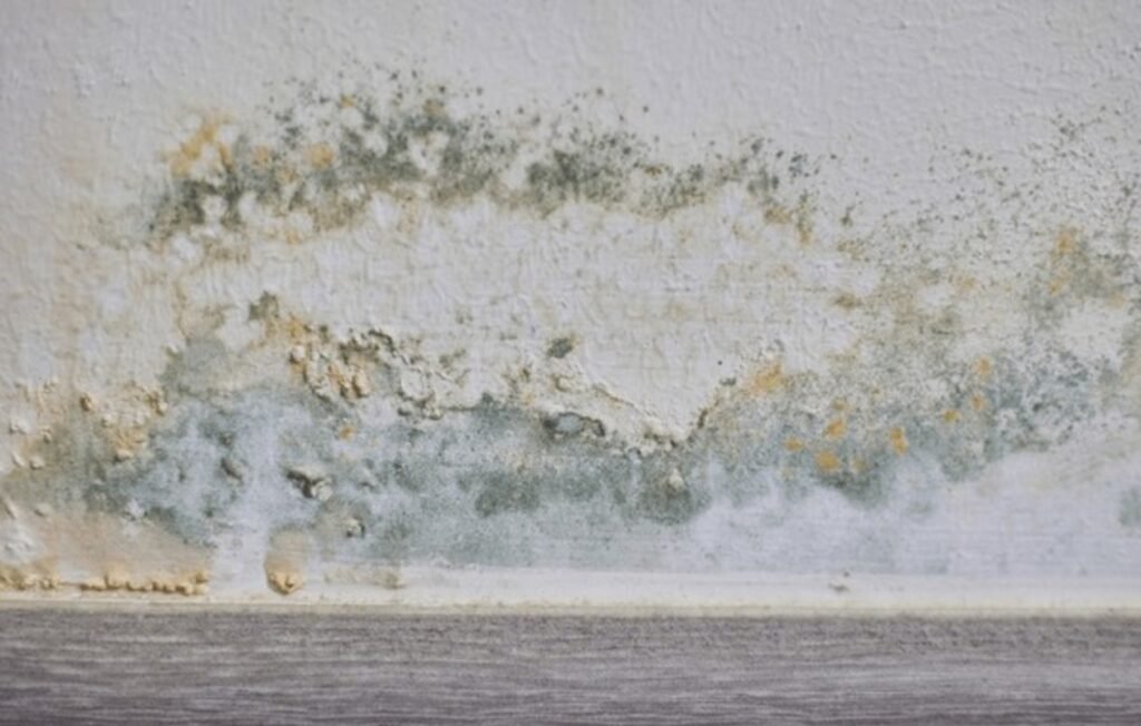 water damage pics (23)