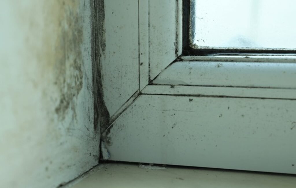 water damage pics (32)