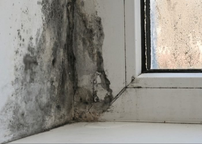 water damage pics (37)